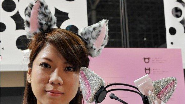 cat ears