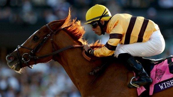 Wise Dan winning at the 2013 Breeders' Cup meeting