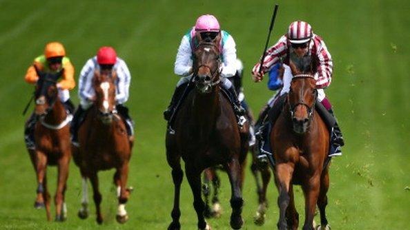 Cirrus Des Aigles during the Coronation Cup