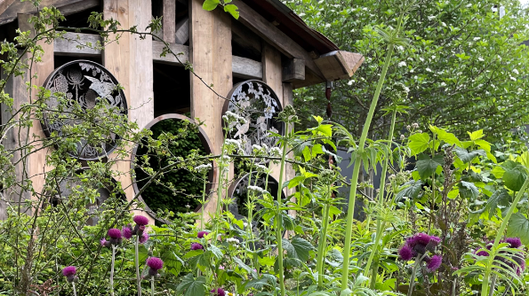 A wooden structure with large round windows and a pitch roof behind flowers and green foliage
