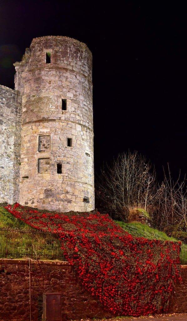 Poppies at Strathaven Castle