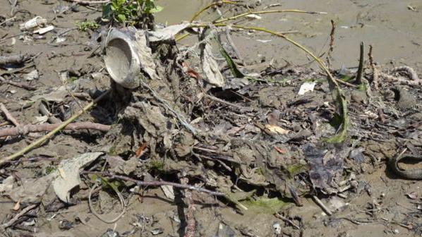 A close up image of sludgy brown wet wipes congealed together with mud and other litter from the river.