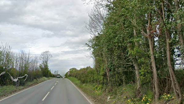 A road rises with a car in the distance with trees and bushes either side.