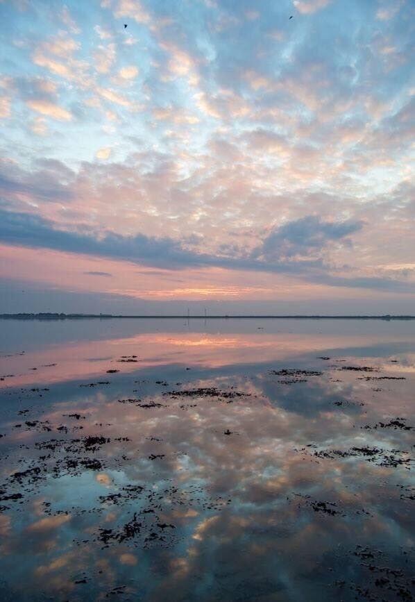 Adlewyrchiad ar y Fenai // Reflections on the Menai