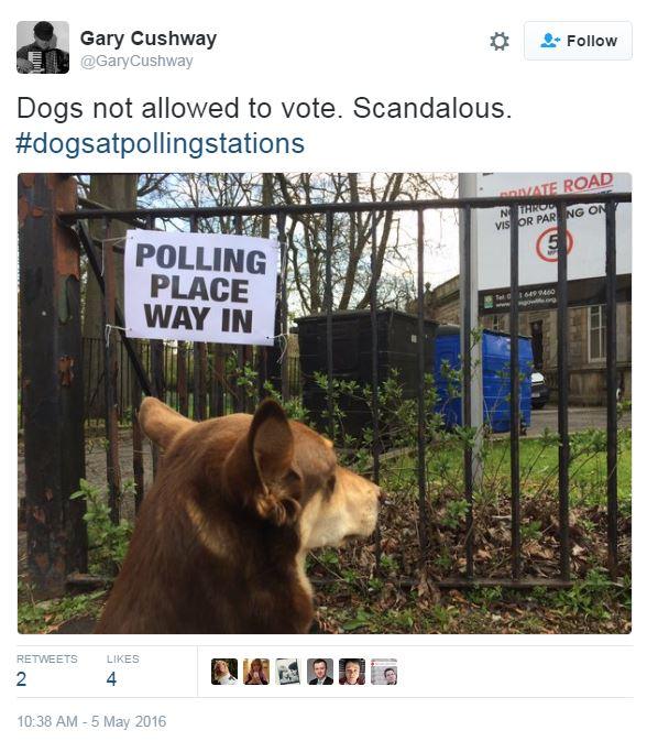 Tweet: Dogs not allowed to vote. Scandalous. #dogsatpollingstations