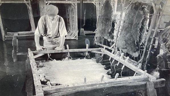 A man working on a sheepskin tannery machine