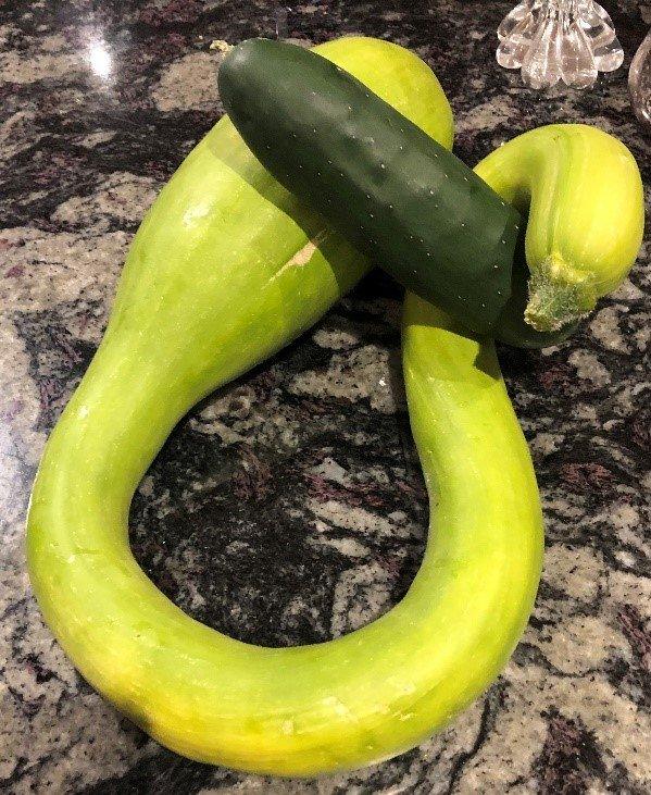 Mae'n bosib i fod yn greadigol iawn gyda courgettes o'r ardd