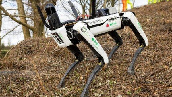 A robot dog on a steep bank