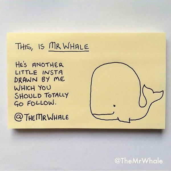 Mr Whale