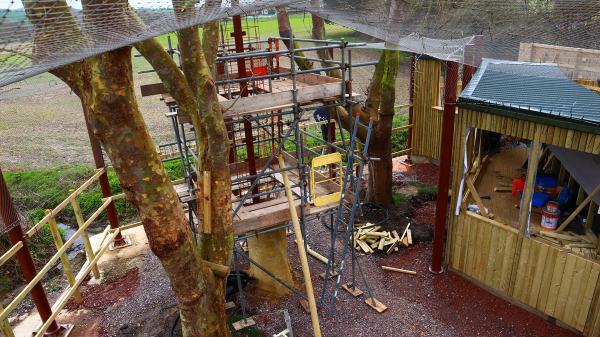 A monkey enclosure under construction viewed from the top of a tree.