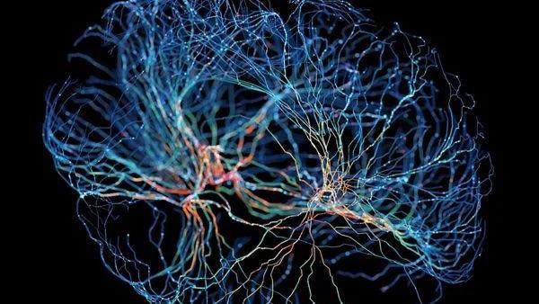 A scan of neurons making glowing connections in the brain.