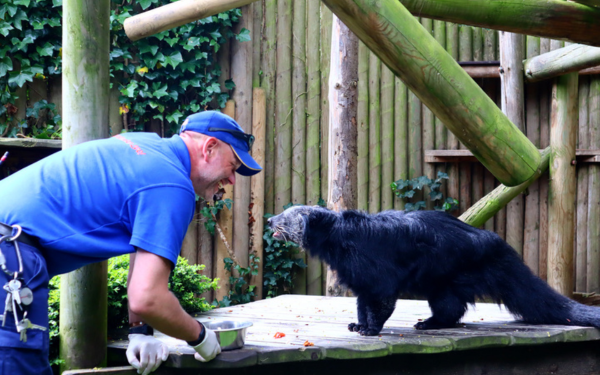 Bearcat next to keeper who is smiling