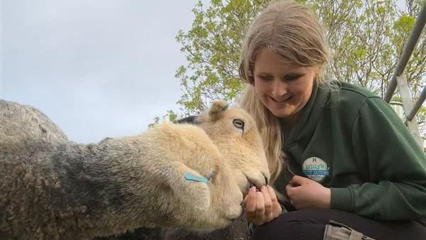 Shepherdess Milly Collins smiling while feeding sheep. It's an overcast day.