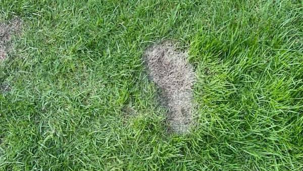 A grey imprint of a boot can clearly be seen scorched into green grass. 