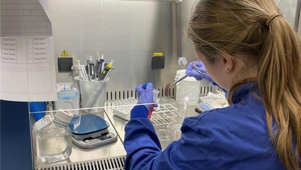 Ms Doolan in a blue lab coat and blue surgical gloves using a metal instrument to move samples. She has her hair in a pony tail and is sat at a silver desk.