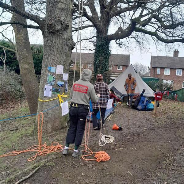 People standing at the camp - one person is holding orange rope ready to climb the tree. There are posters and poems on the tree, camp gear on the floor and a bell tent in the background and behind that there are houses which are part of the housing estate