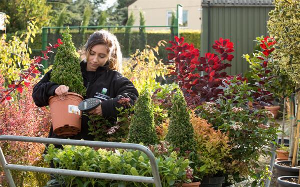 Nursery worker