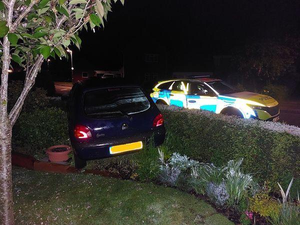 Blue car in hedge