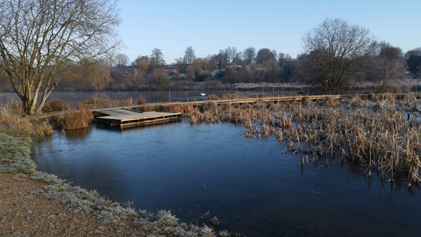 A dark body of water. There are trees and fields in the background. On the water is a wooden jetty.