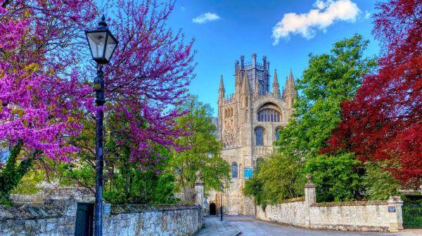 Trees and bushes in front of the west wing of Ely Cathedral