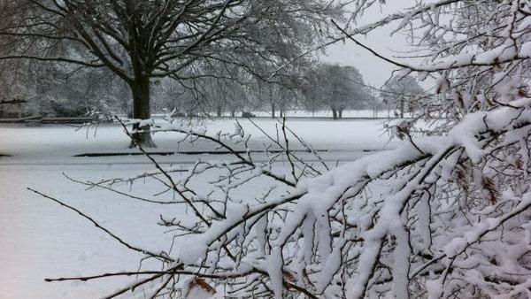 Harrogate Stray