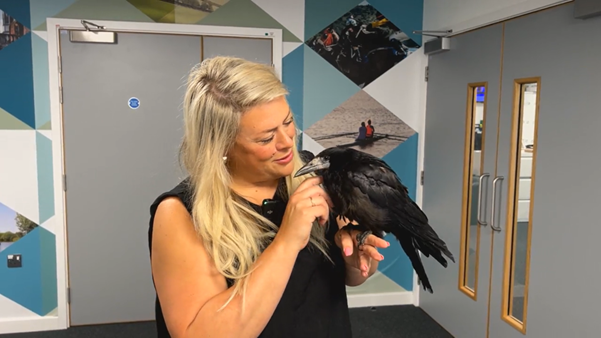 Aimee Wallis holding Apollo the rook. She is dressed in black. She is smiling while looking at the bird. There are some pictured on the wall behind her.