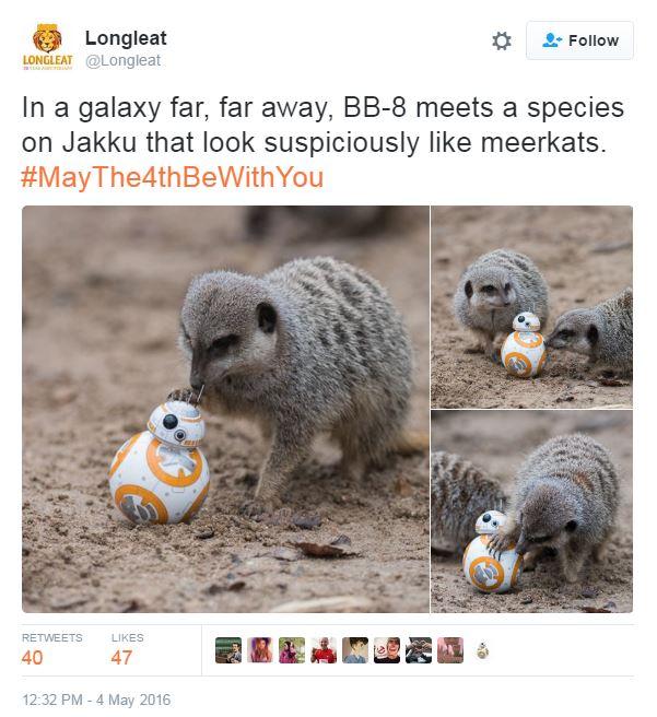 Tweet: In a galaxy far, far away, BB-8 meets a species on Jakku that look suspiciously like meerkats. #MayThe4thBeWithYou