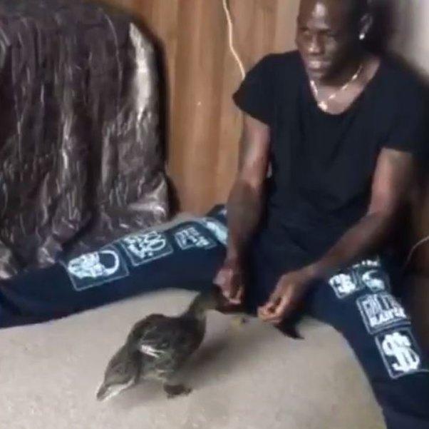 Mario Balotelli feeds ducks