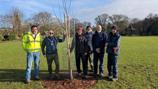 The Mayor of Taunton stands with three other people in a park as she digs into the earth to plant a wild cherry tree