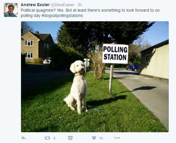 Tweet: Political quagmire? Yes. But at least there's something to look forward to on polling day #dogsatpollingstations