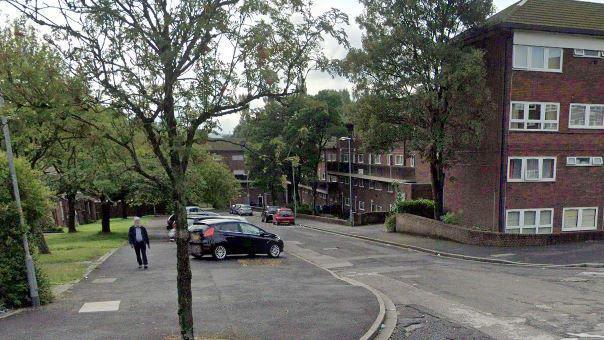 A man walks past some parked cars on a large pavement across a road from a complex of flats. There are trees lining each side of the road.