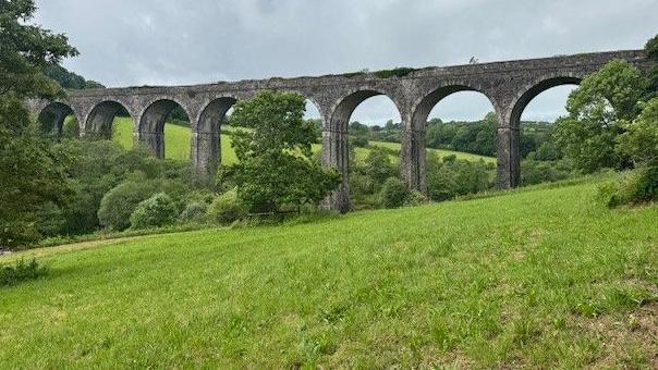 Grade Two listed Shillamill viaduct, in open farmland, overgrown on the top where tracks used to be on the rail route between Tavistock and Bere Alston