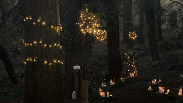 A dark and winding path - lit by candles and fairly lights - leads to a forest clearing where Sinead and Michael married.