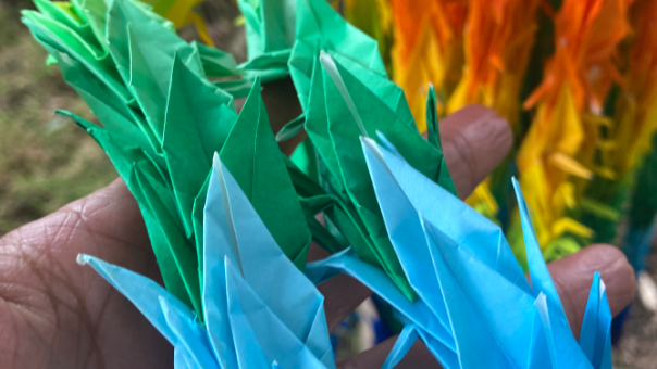 Blue and green paper cranes