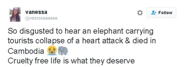 Tweet: So disgusted to hear an elephant carrying tourists collapse and die of a heart attack in Cambodia [sadface emoji] [elephant emoji] Cruelty free life is what they deserve