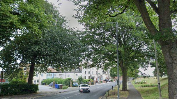 Hook Road in Goole, a wide tree-lined street with houses to the left of the photo and a grassy riverbank to the right.