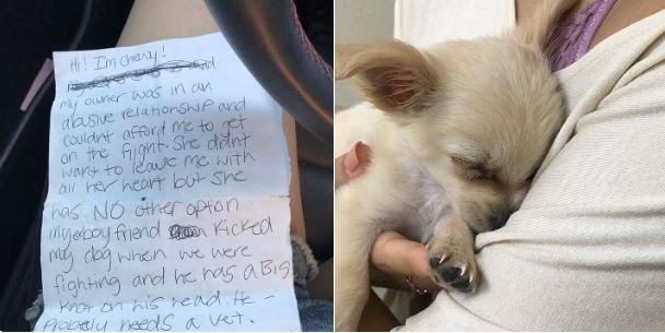 Left: the note Chewy was left with. Right: Chewy being held by a person