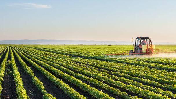 a tractor on a field watering lots of green plants