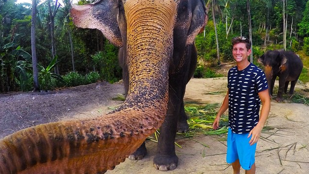 Elephant selfie in Thailand