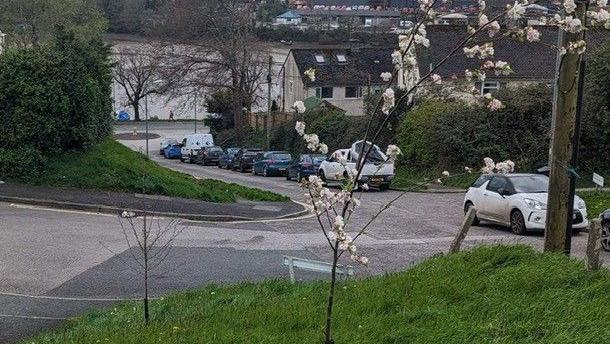 The memorial tree