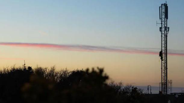 A telecoms mast with a person halfway up it in the dusk or early morning and bushes on the left.