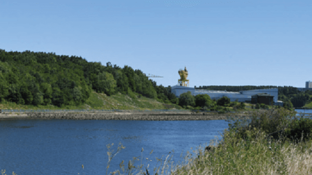 The River Tyne of Bill Point with trees and grass either side.