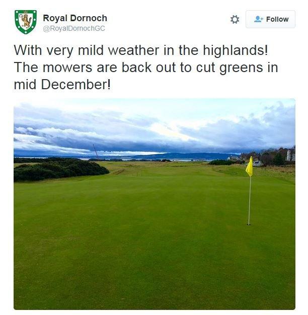 @RoyalDornochGC