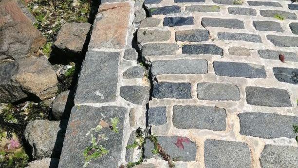 Close up of large crack in the pier. There is green and purple seaweed surrounding also. 