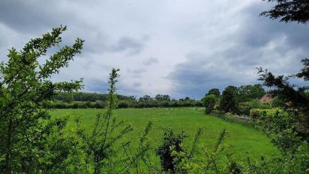 A field - in the foreground is some shrubbery while a blue-grey sky features in the background