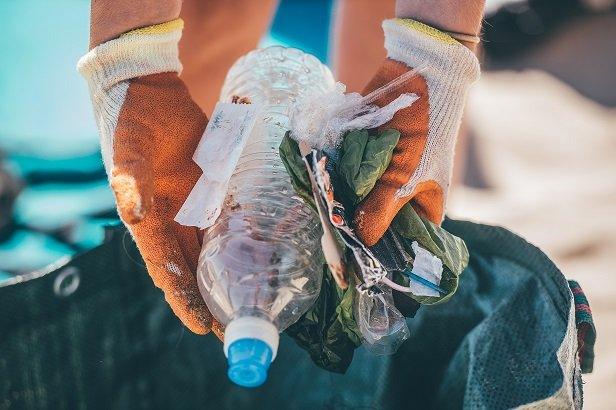 beach clean