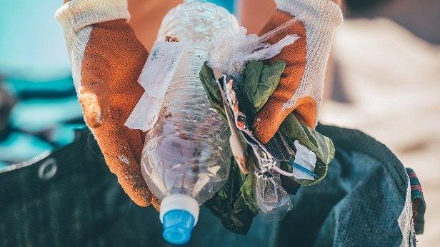 beach clean