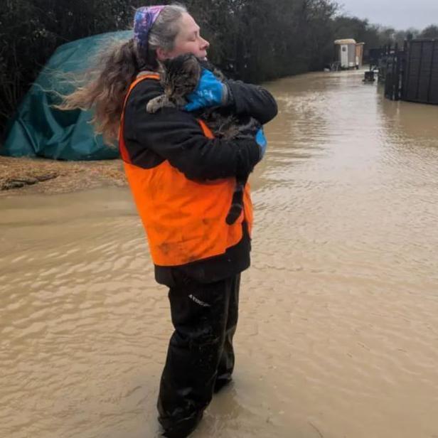 A woman wearing black trousers, a black coat and an orange hi-vis vest stood in flooded water cradling a cat. 