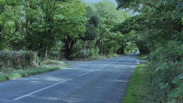 A view of a country road. The road is black tarmac and there are large green trees framing either side of the road, as well as hedging.