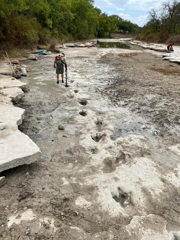 Dinosaur tracks at Dinosaur Valley State Park